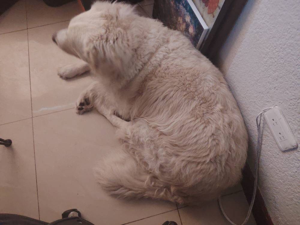 Before Cleaning